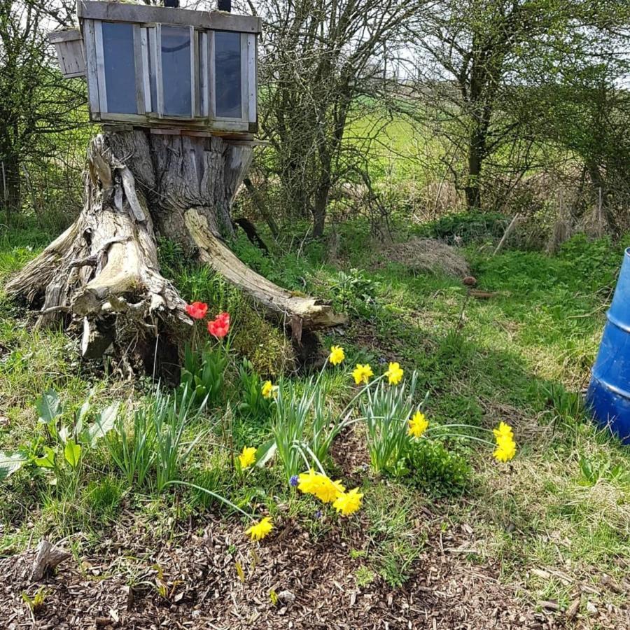 Romantic Escape Luxury Hobbit House With Hot Tub! Sheerness Eksteriør billede